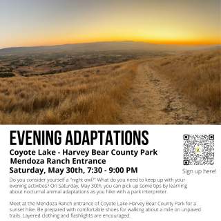 Evening Adaptations-Evening Hike