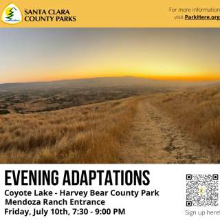 Evening Adaptations