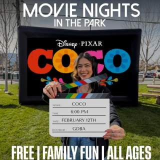 Movie Nights in the Park