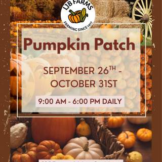 LJB Farms Pumpkin Patch