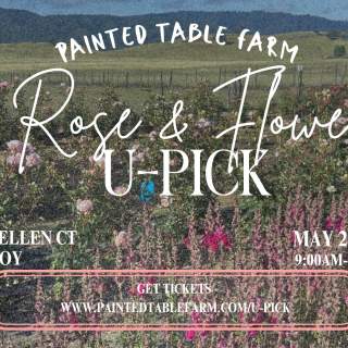 Rose & Flower U-Pick at Painted Table Farm