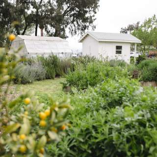 Walk the Farm at The Nest Box