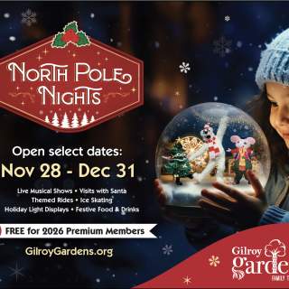 North Pole Nights