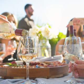 Music in the Vineyard