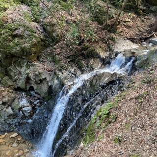 Uvas Canyon Waterfall Loop