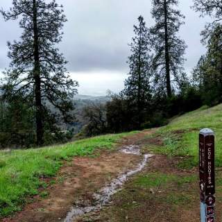 Frog Lake Loop