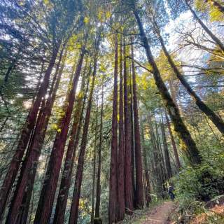 Ridge Trail, Camp Trail, Merry Go Round Loop