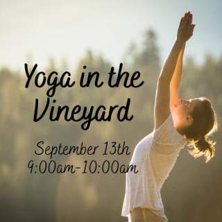 Yoga in the Vineyard