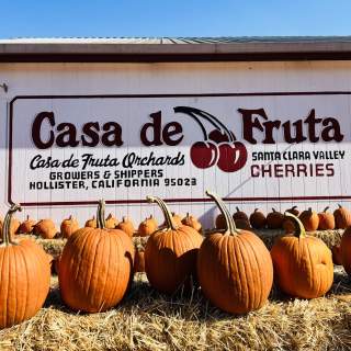 Pumpkin Junction