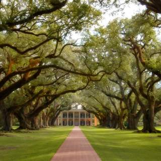Oak Alley Plantation