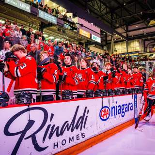 Niagara IceDogs