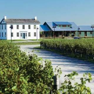 Ravine Vineyard Estate Winery