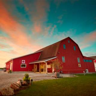 Between the Lines Winery