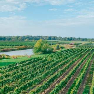 Crush On Niagara Wine Tours