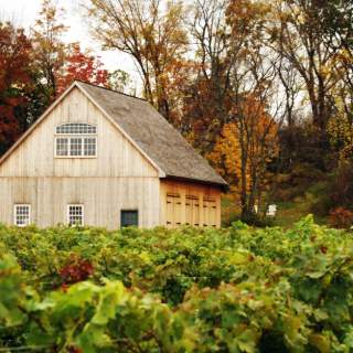 Five Rows Craft Wine