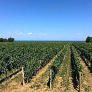 Konzelmann Estate Winery