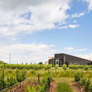 Lakeview Wine Co.
