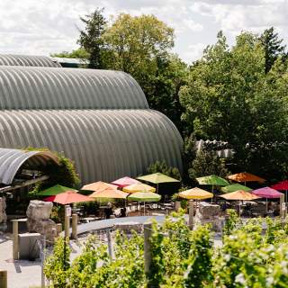Malivoire Wine Company