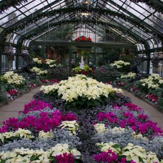 Floral Showhouse