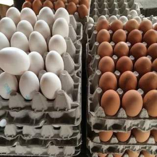 Niagara Falls Farmers’ Market