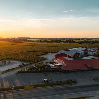 Pillitteri Estates Winery