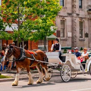 Sentineal Carriages