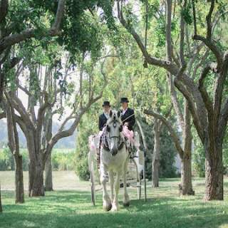 Sentineal Carriages