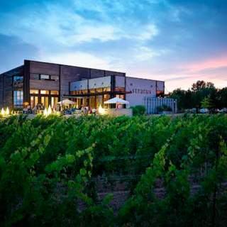 Stratus Vineyards