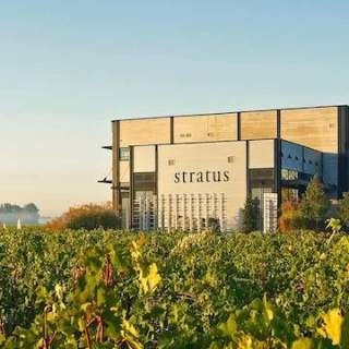 Stratus Vineyards