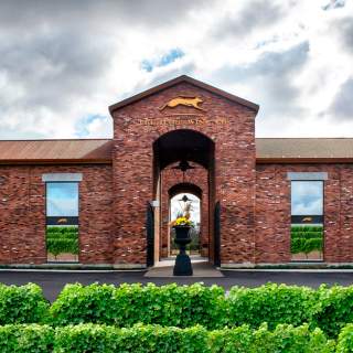 The Hare Wine Co.