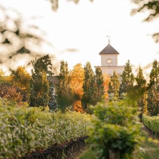 Two Sisters Vineyards