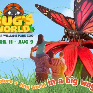 A Bug's World at Roger Williams Park Zoo