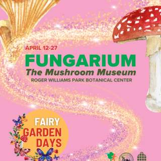 Fairy Garden Days 2025 Fungarium: The Mushroom Museum at Roger Williams Park Botanical Center
