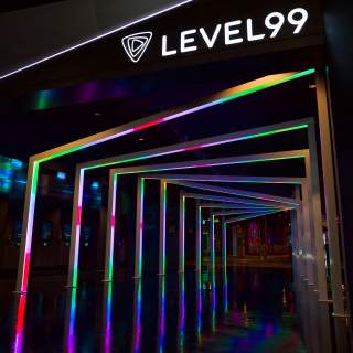 Level99