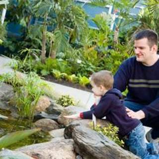 Roger Williams Park Botanical Center