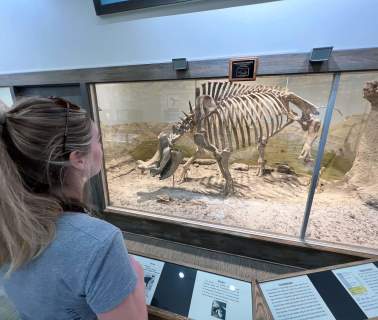 Admire Minerals, Fossils and More With A Visit To The Museum Of Geology