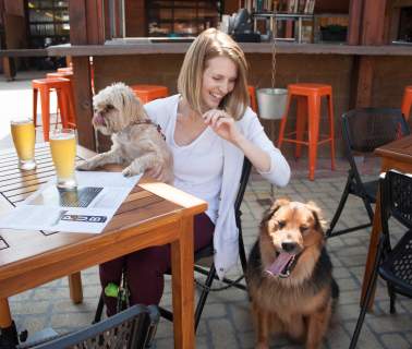 How To Have A Dog-Gone Good Time Downtown