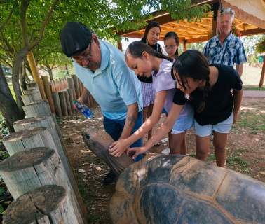 Discover Why Reptile Gardens is One of the Top Rated Family-Friendly Attractions in the Black Hills