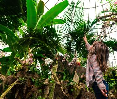 The Captivating Story Of A Popular Rapid City Attraction