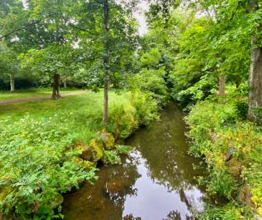 River Sid