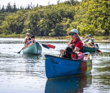 Dog in canoe with New Forest Activities