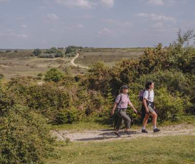 Two people walking uphill in the New Forest