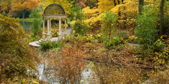 Autumnal Artistry