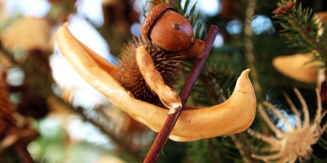 A Spirited Start to the Holiday Season