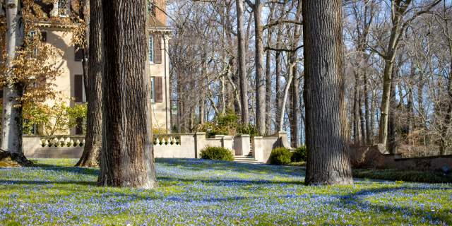Winterthur Spring Blooms