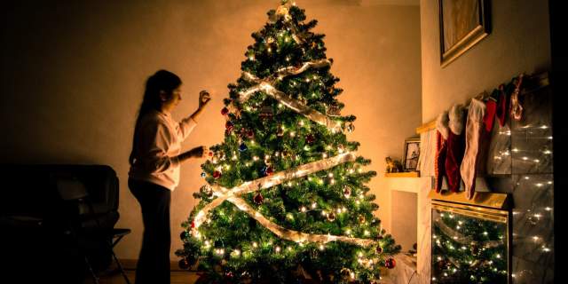 Where To Find The Perfect Christmas Tree in Brandywine Valley