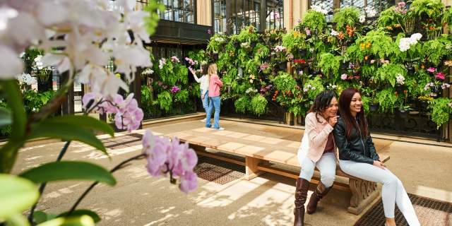 Longwood Gardens Orchid Room