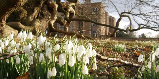Snowdrop walks in Lincolnshire