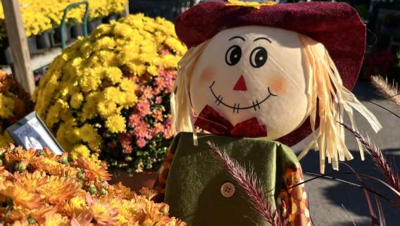 Fall in Elizabethtown