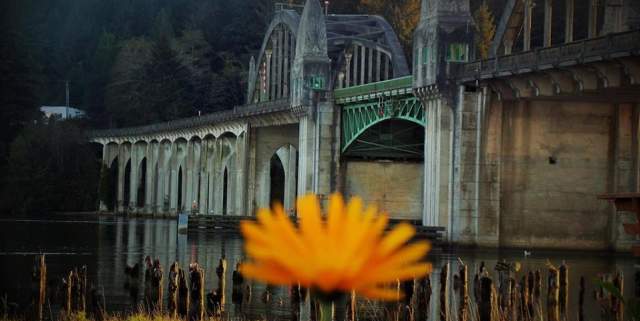 Bridge with flower